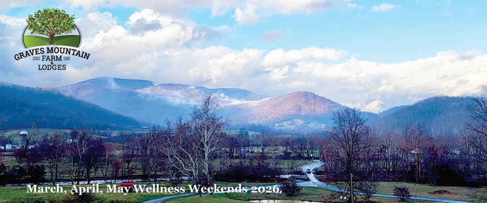 Graves Mountain Farm & Lodges (Rustic Mountain Resort)