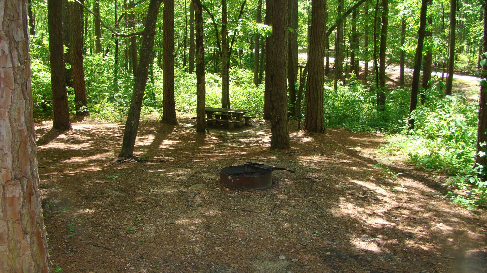 Jeff Busby Campground (Primitive Campground)