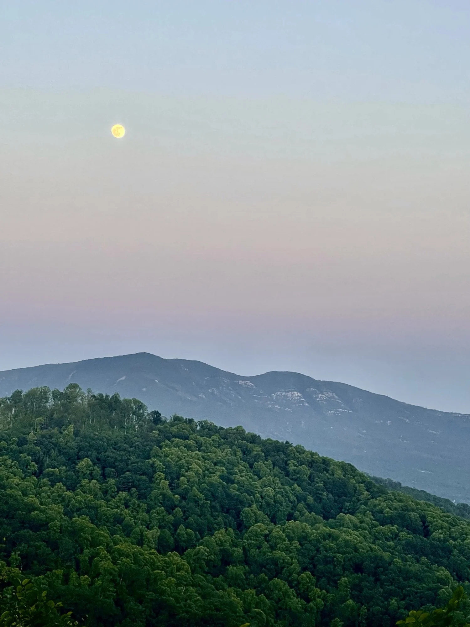 Skyline Village Inn (Quirky Parkway Inn)