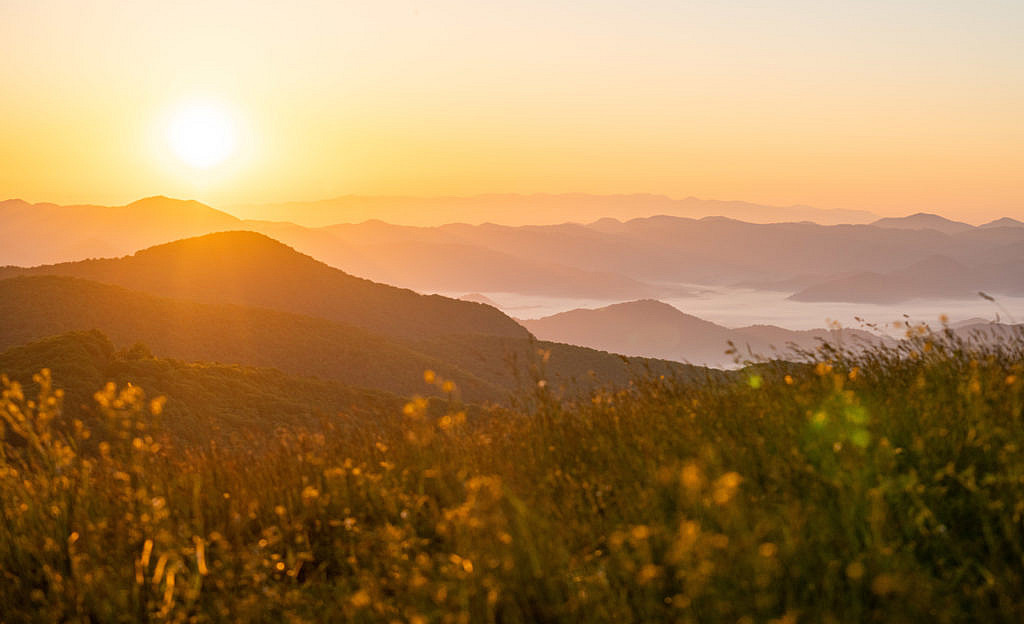 The Swag (Premium Mountain Inn)