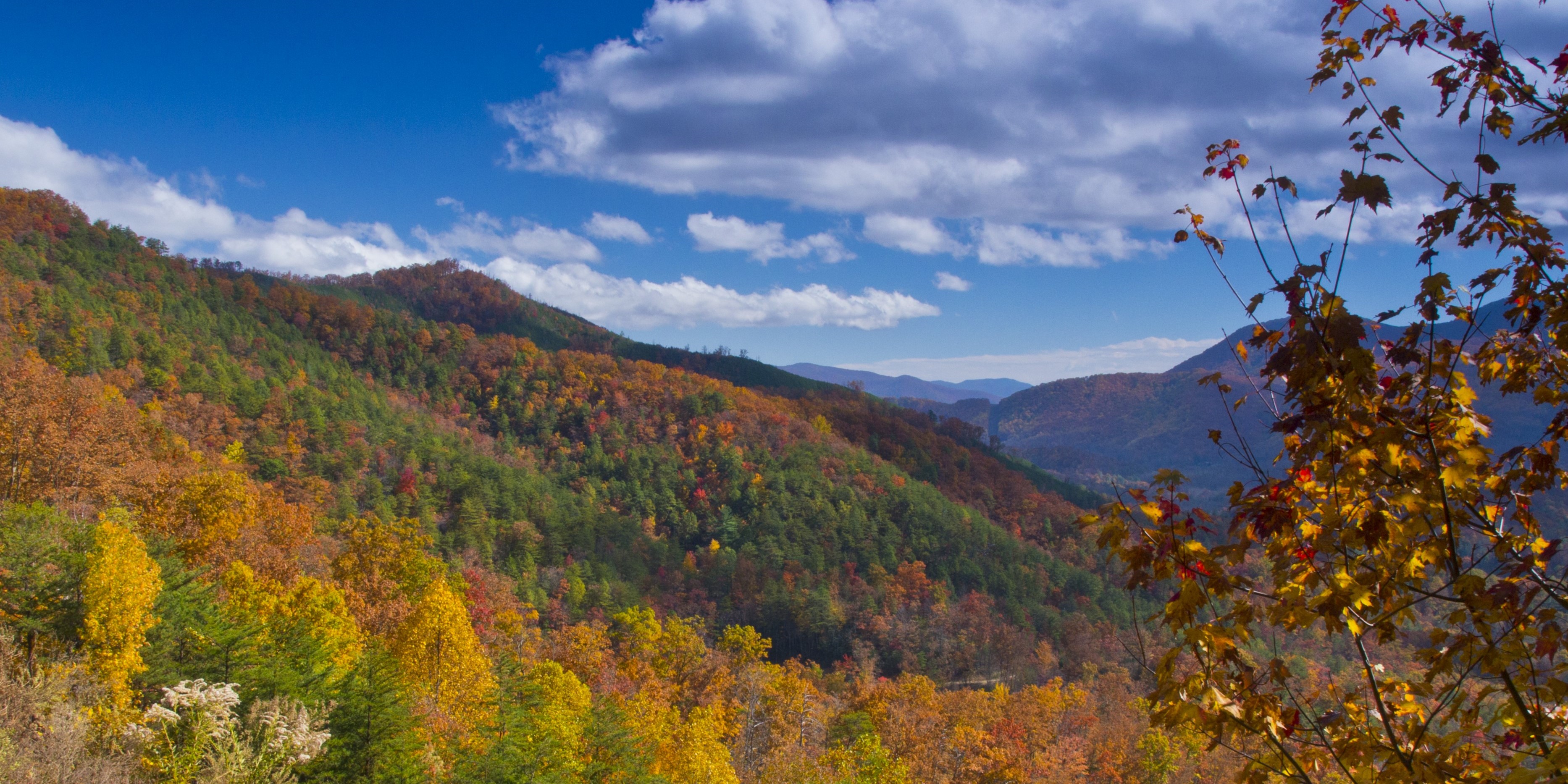 Foothills Parkway (East Section)